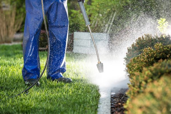 Curb Cleaning in New Orleans