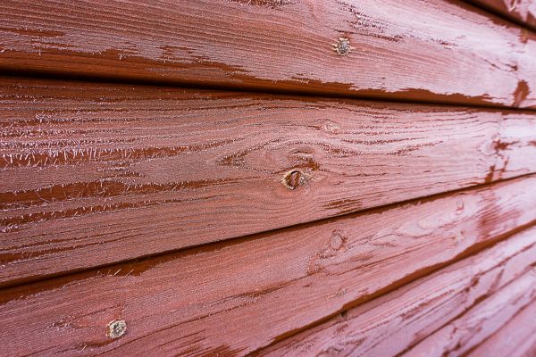 Cedar Siding Cleaning in New Orleans