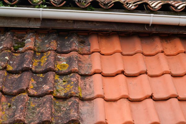 Industrial Roof Cleaning in New Orleans