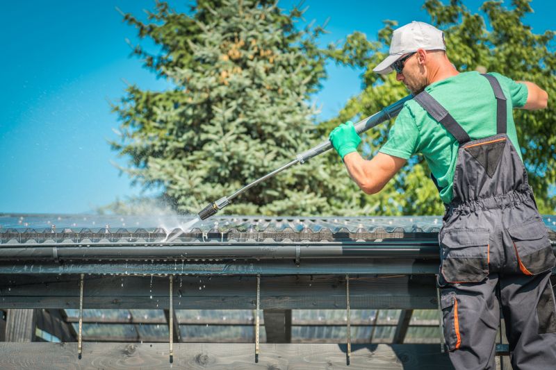 Gutter and Roof Cleaning